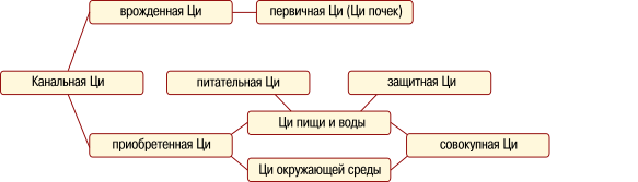 Состав канальной Ци